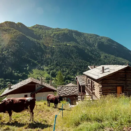 Hellochalet Pessey - Entire Alpine Retreat With Private Garden, Nature & Silence 400mt To Slope Valtournenche