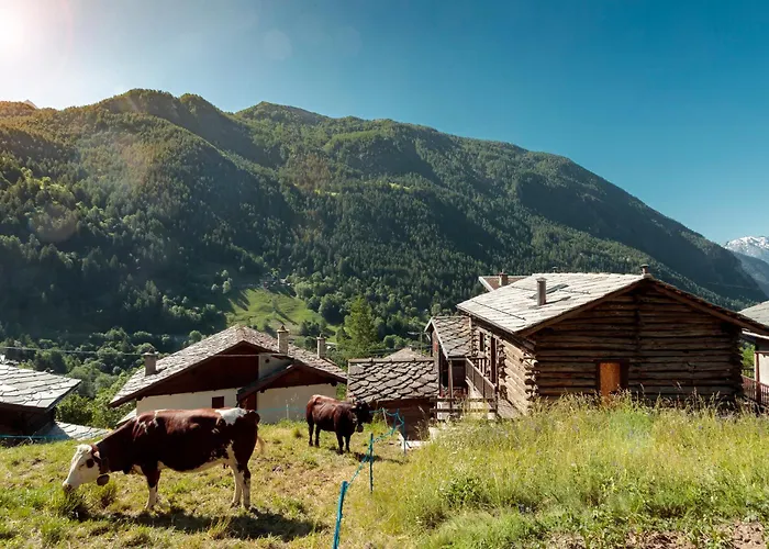 Hellochalet - Pessey - Entire Alpine 400m From Lifts With Garden & Mountain View Valtournenche